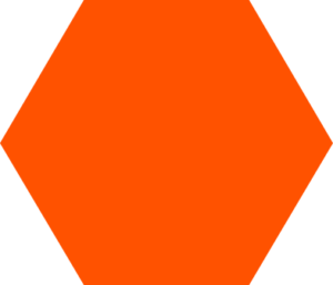 Logo Procore